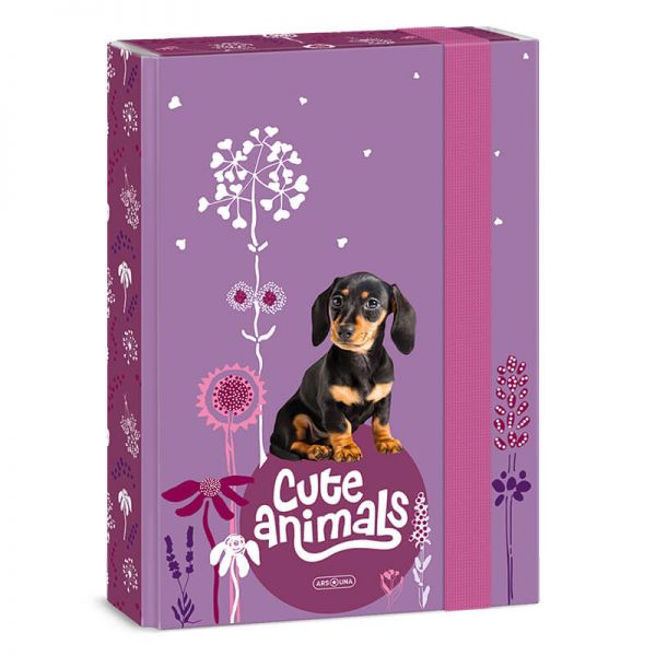 Cute Animals kutyás füzetbox - A5 - tacskós
